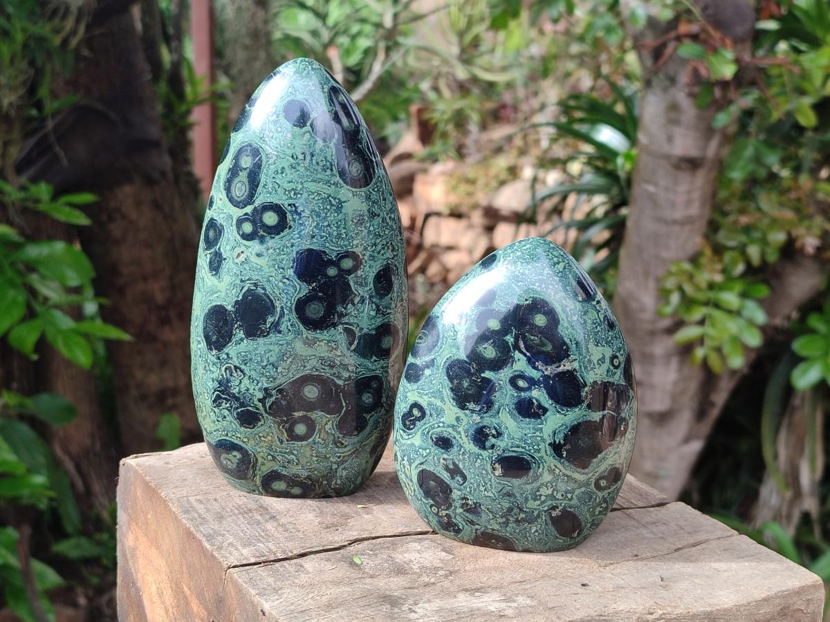 Polished Stromatolite Standing Free Forms x 3 From Katsepy, Madagascar