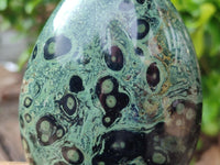 Polished Stromatolite Standing Free Forms x 3 From Katsepy, Madagascar