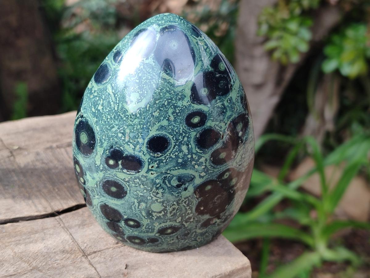 Polished Stromatolite Standing Free Forms x 3 From Katsepy, Madagascar