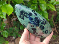 Polished Stromatolite Standing Free Forms x 3 From Katsepy, Madagascar