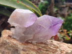 Polished Jacaranda Amethyst Crystals x 6 From Mumbwa, Zambia