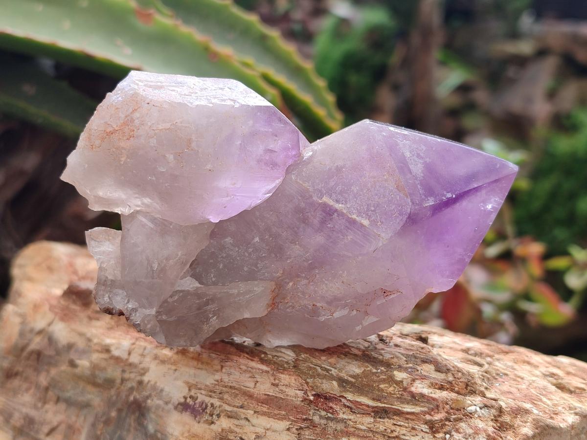 Polished Jacaranda Amethyst Crystals x 6 From Mumbwa, Zambia