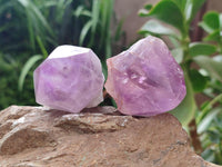 Polished Jacaranda Amethyst Crystals x 6 From Mumbwa, Zambia