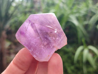 Polished Jacaranda Amethyst Crystals x 6 From Mumbwa, Zambia