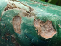 Polished Mtorolite Free Form x 1 From Mutorashanga, Zimbabwe