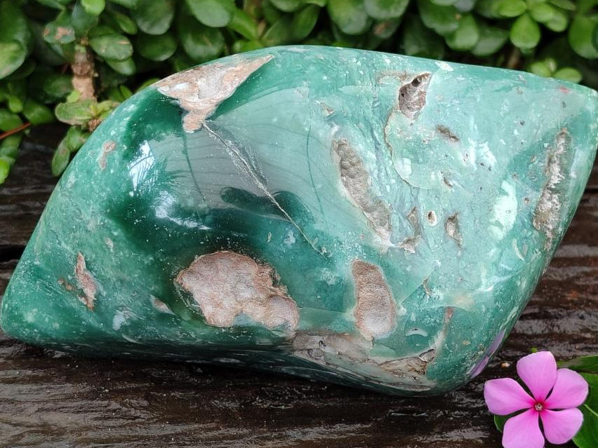 Polished Mtorolite Free Form x 1 From Mutorashanga, Zimbabwe