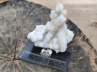 Natural Drusy Snow Finger Quartz Coated Clusters x 6 From Albert's Mountain, Lesotho
