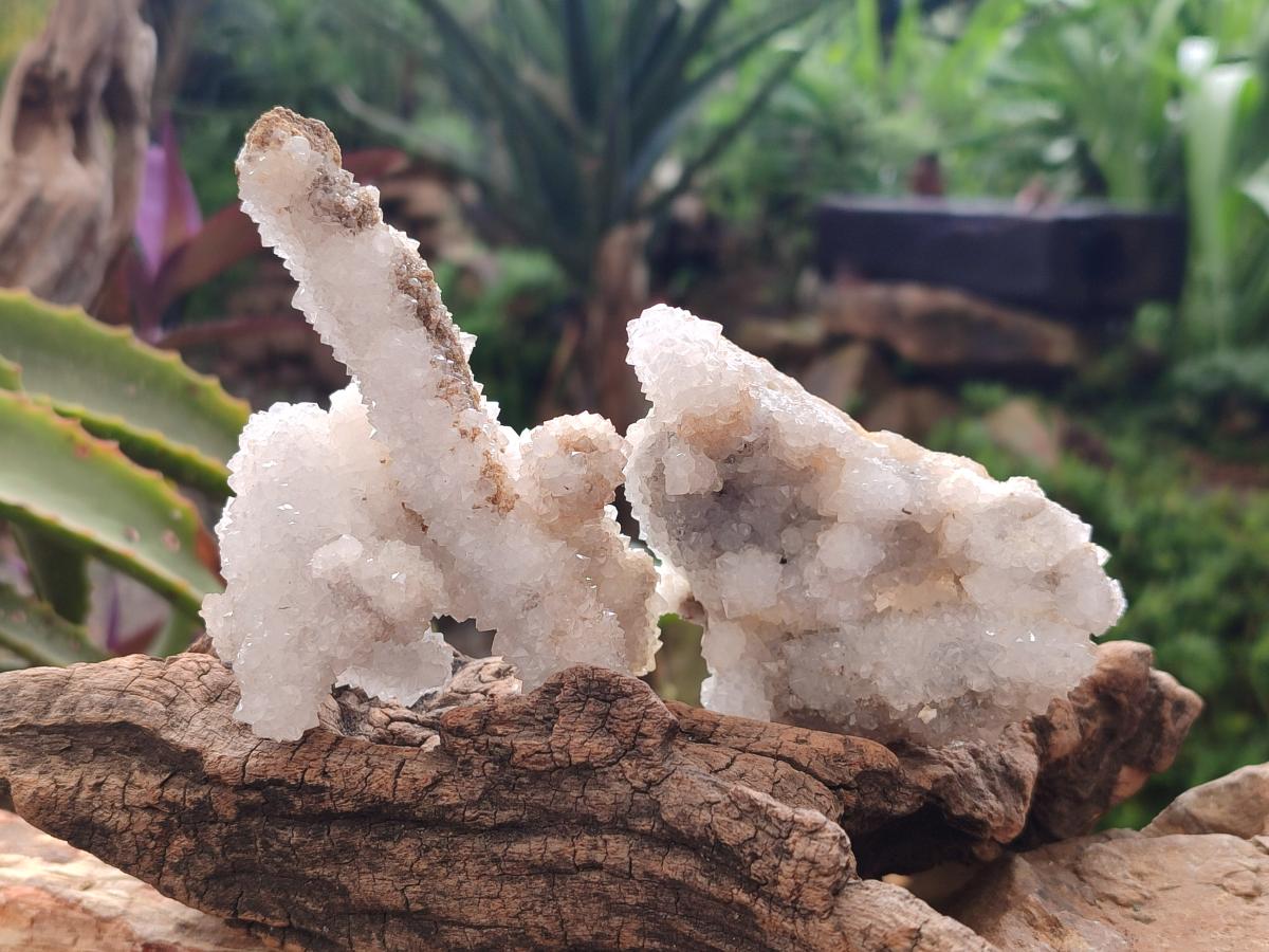 Natural Drusy Snow Finger Quartz Coated Clusters x 6 From Albert's Mountain, Lesotho