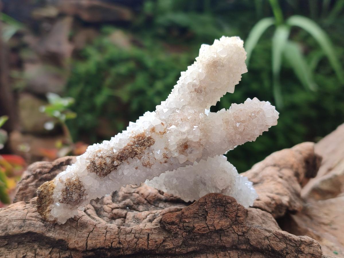Natural Drusy Snow Finger Quartz Coated Clusters x 6 From Albert's Mountain, Lesotho