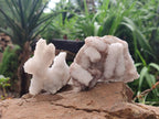 Natural Drusy Snow Finger Quartz Coated Clusters x 6 From Albert's Mountain, Lesotho
