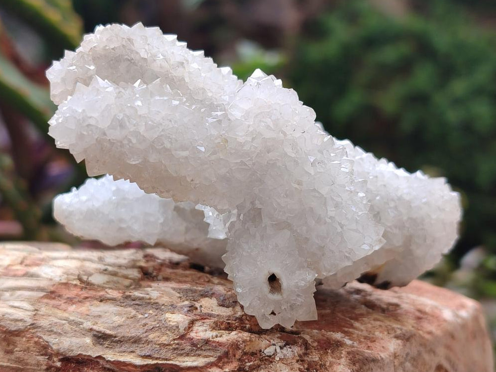 Natural Drusy Snow Finger Quartz Coated Clusters x 6 From Albert's Mountain, Lesotho