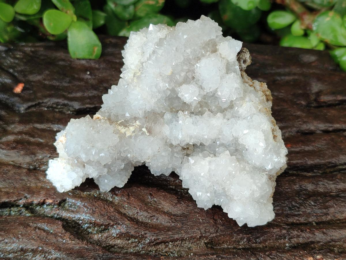 Natural Drusy Snow Finger Quartz Coated Clusters x 6 From Albert's Mountain, Lesotho