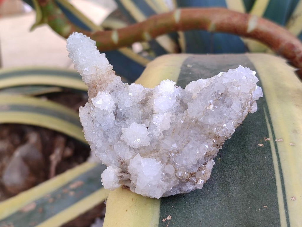 Natural Drusy Snow Finger Quartz Coated Clusters x 6 From Albert's Mountain, Lesotho