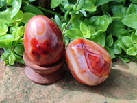 Polished Carnelian Agate Gemstone Eggs x 6 From Madagascar