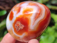 Polished Carnelian Agate Gemstone Eggs x 6 From Madagascar