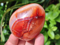 Polished Carnelian Agate Gemstone Eggs x 6 From Madagascar