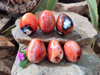 Polished Carnelian Agate Gemstone Eggs x 6 From Madagascar