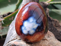 Polished Carnelian Agate Gemstone Eggs x 6 From Madagascar