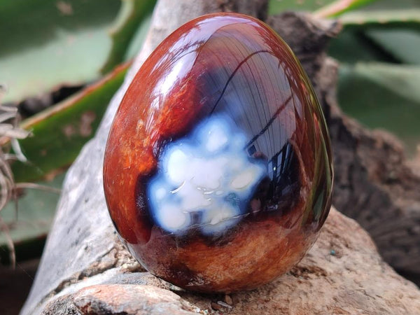 Polished Carnelian Agate Gemstone Eggs x 6 From Madagascar