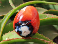 Polished Carnelian Agate Gemstone Eggs x 6 From Madagascar
