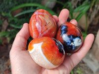 Polished Carnelian Agate Gemstone Eggs x 6 From Madagascar