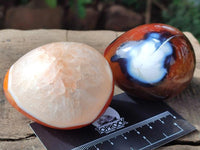 Polished Carnelian Agate Gemstone Eggs x 6 From Madagascar