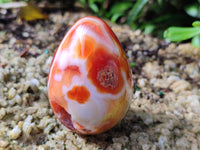 Polished Carnelian Agate Gemstone Eggs x 6 From Madagascar