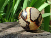 Polished Septerye Spheres x 6 From Mahajanga, Madagascar