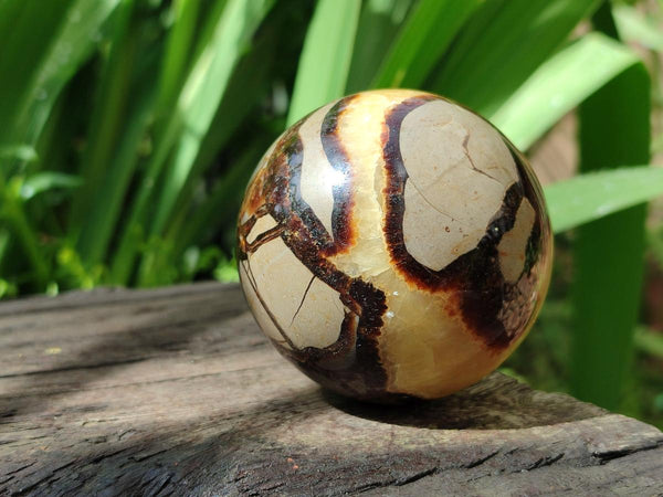 Polished Septerye Spheres x 6 From Mahajanga, Madagascar
