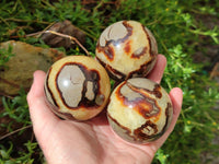 Polished Septerye Spheres x 6 From Mahajanga, Madagascar