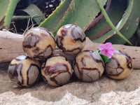 Polished Septerye Spheres x 6 From Mahajanga, Madagascar