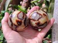 Polished Septerye Spheres x 6 From Mahajanga, Madagascar