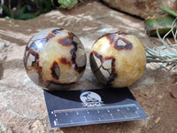 Polished Septerye Spheres x 6 From Mahajanga, Madagascar