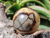 Polished Septerye Spheres x 6 From Mahajanga, Madagascar