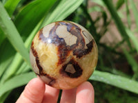 Polished Septerye Spheres x 6 From Mahajanga, Madagascar