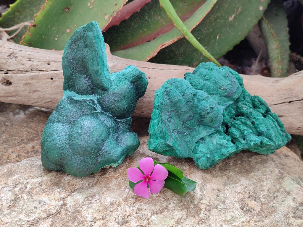 Natural Botryoidal Malachite Specimens x 2 From Kolwezi, Congo