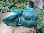 Natural Botryoidal Malachite Specimens x 2 From Kolwezi, Congo