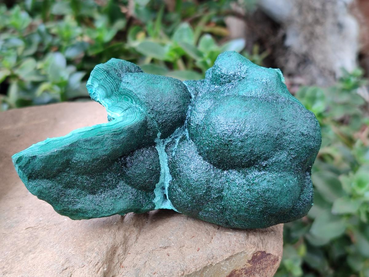 Natural Botryoidal Malachite Specimens x 2 From Kolwezi, Congo