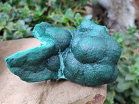 Natural Botryoidal Malachite Specimens x 2 From Kolwezi, Congo