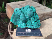 Natural Botryoidal Malachite Specimens x 2 From Kolwezi, Congo