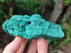 Natural Botryoidal Malachite Specimens x 2 From Kolwezi, Congo