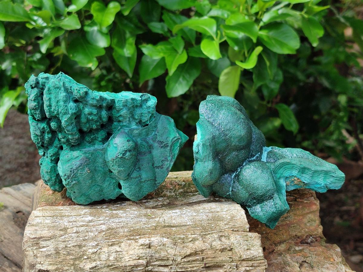 Natural Botryoidal Malachite Specimens x 2 From Kolwezi, Congo