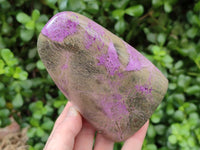 Polished Stichtite Standing Free Forms x 2 From Barberton, South Africa