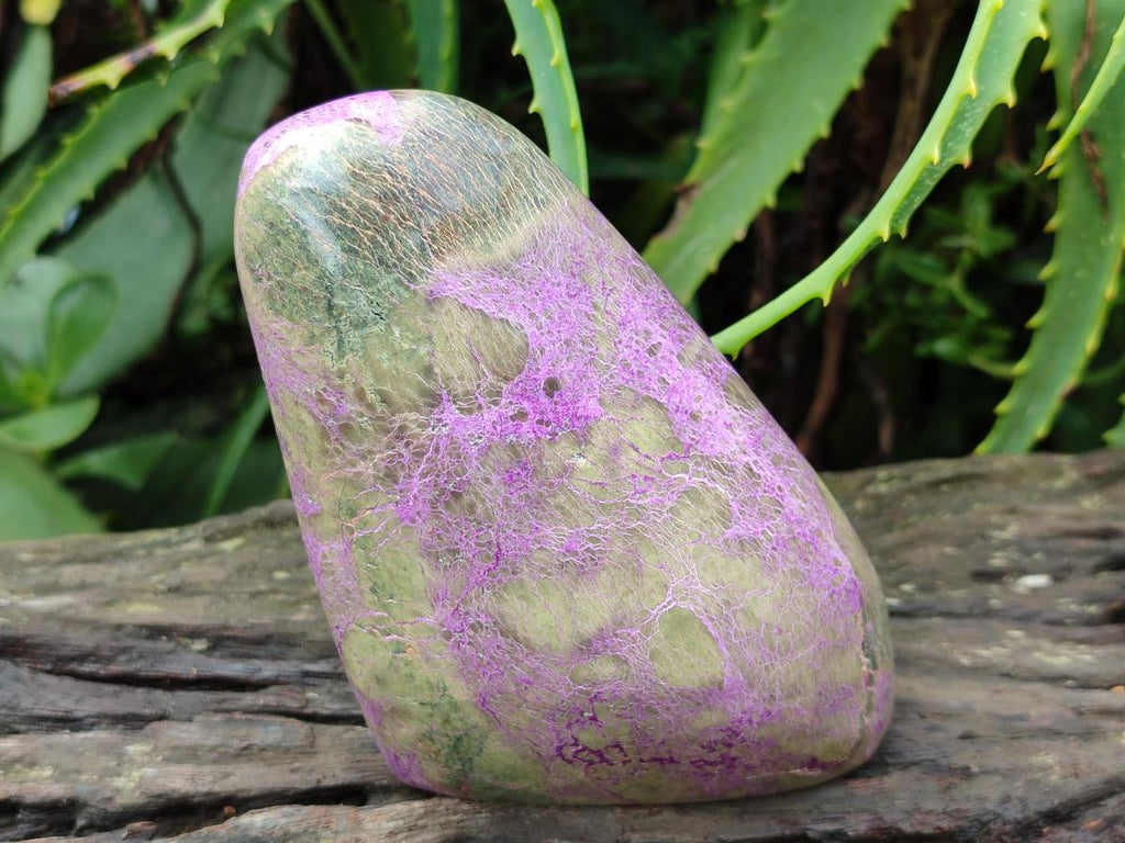 Polished Stichtite Standing Free Forms x 2 From Barberton, South Africa