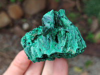 Natural Silky Malachite Specimens x 6 From Kasompe, Congo