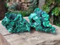 Natural Silky Malachite Specimens x 6 From Kasompe, Congo