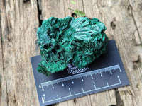 Natural Silky Malachite Specimens x 6 From Kasompe, Congo