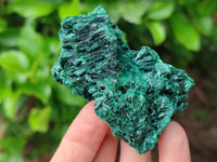 Natural Silky Malachite Specimens x 6 From Kasompe, Congo