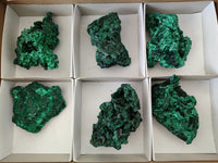Natural Silky Malachite Specimens x 6 From Kasompe, Congo