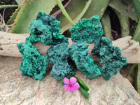 Natural Silky Malachite Specimens x 6 From Kasompe, Congo